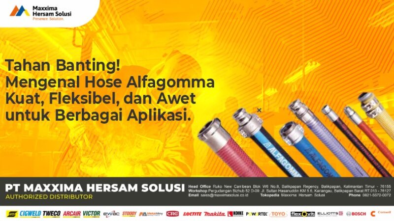 WhatsApp Image 2026-02-04 at 07.44.29