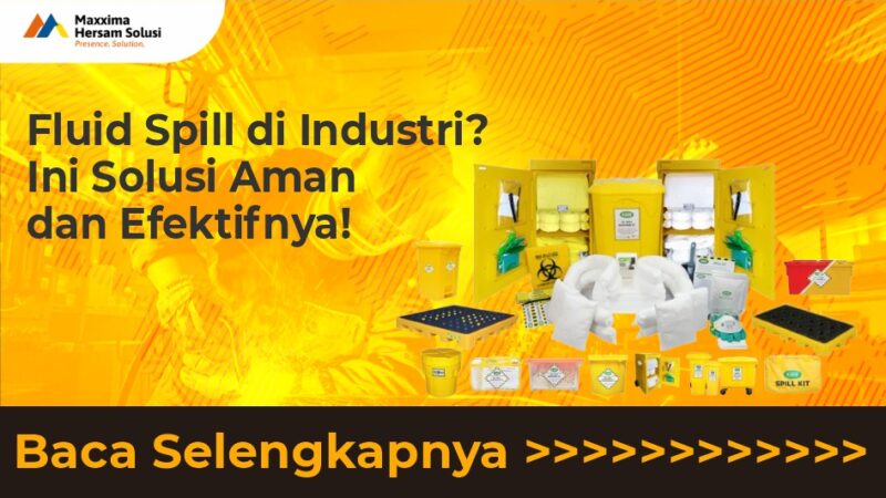 WhatsApp Image 2026-02-09 at 21.04.13