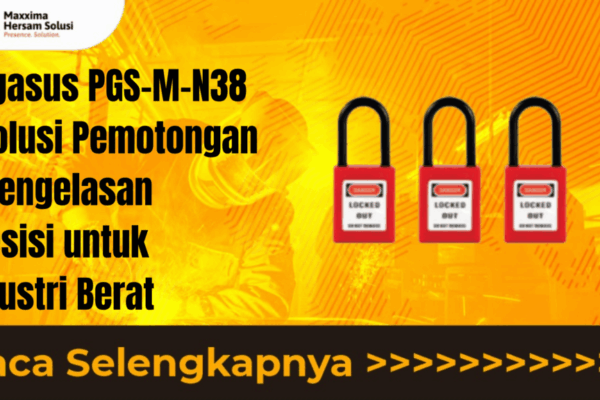PEGASUS PGS-M-N38