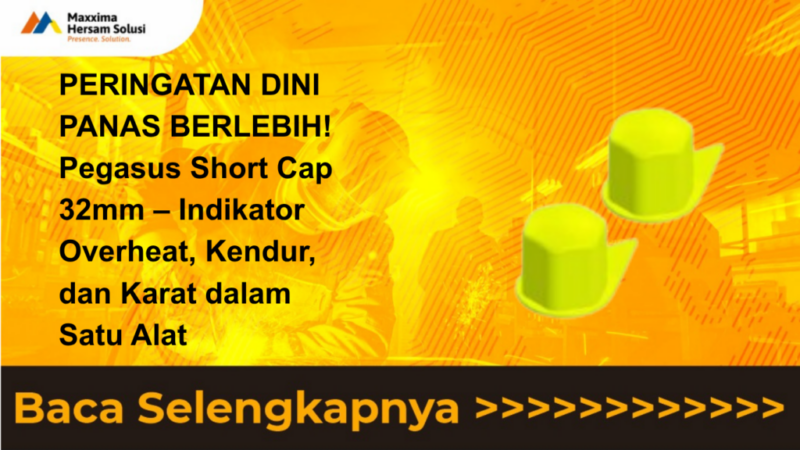 Pegasus Wheel Nut Indicator Short Cap 32mm
