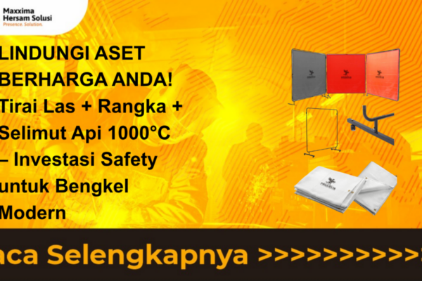 pegasus workshop