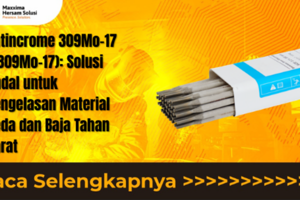 thumnail (4)