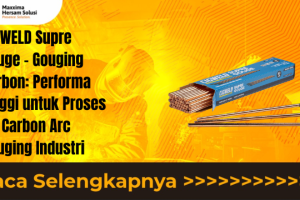 Copy of Copy of Baca Selengkapnya  (16)